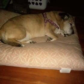 Maddy