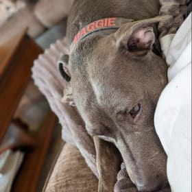 Maggie