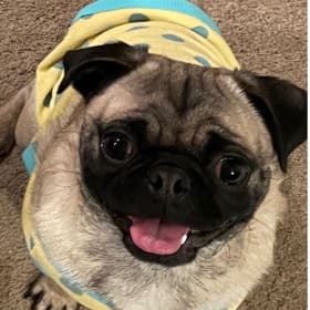 Boo