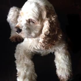 Sally