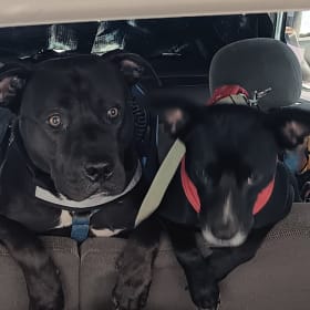 Ghost and Finn