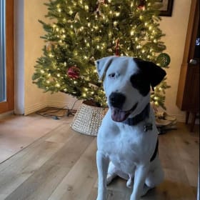 Gus