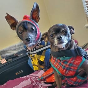 Prince and Princess