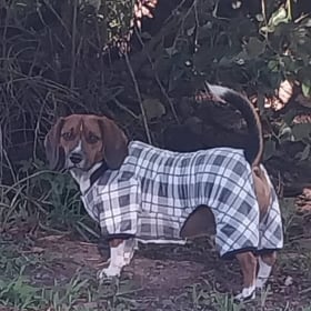 Dudley