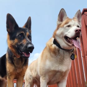 Venus and Revan