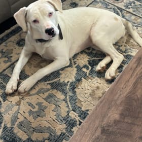 Fiona