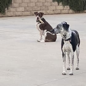Bonnie and Clyde