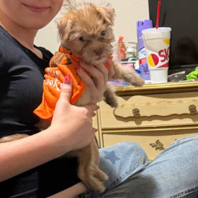 Charlee