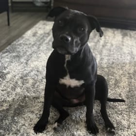 Nova
