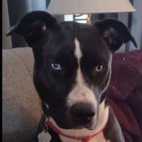 Luna