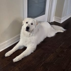 Sierra