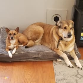 Mia and Dasher
