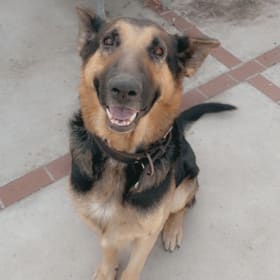 Duke