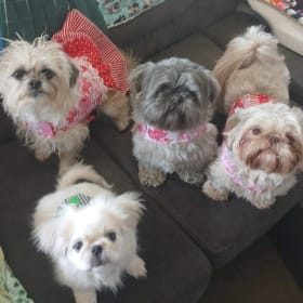 Cash Frankie  Kaylee  and Dublin