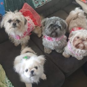 Kaylee Cash Frankie and Dublin