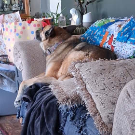 Roscoe