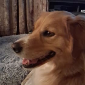 Axel