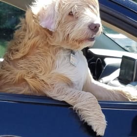 Dylan aka stinkpot