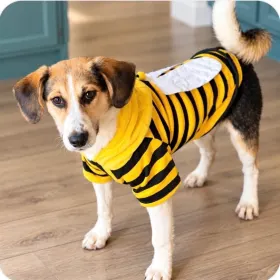 Tizzy- bizzy Bee