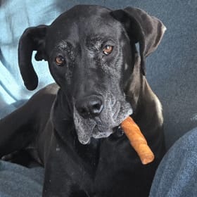 Sammy