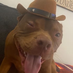 Archie