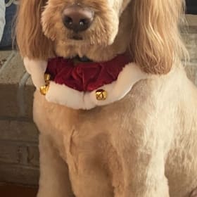 Major  Merry Xmas