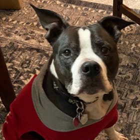 Tux