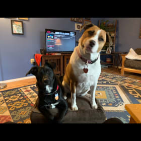 Penny and Daisy