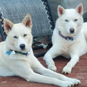 Juneau and Denali