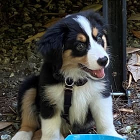 Chloe