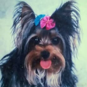 Molly