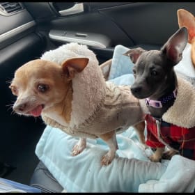 Toots and Lilly