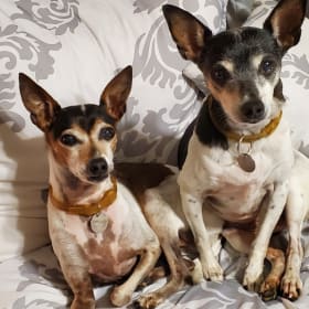 Tessa and Gracie