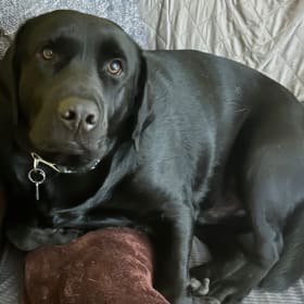 Nash