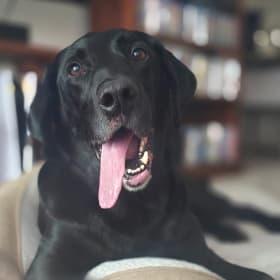 Kal