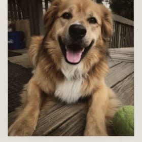 Rusty