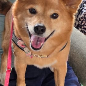 Daisy Mae