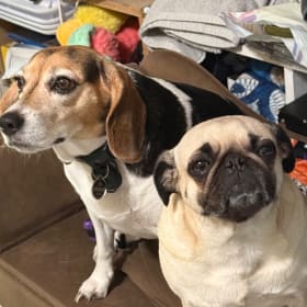 Bailey and Mia
