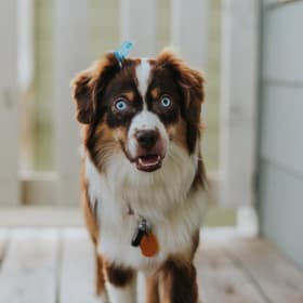 Oakley