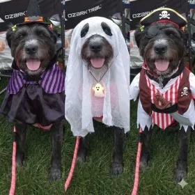 Oreo