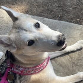 Ella