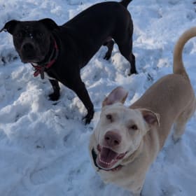 Sunshine and Thunder