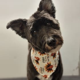 Rosie