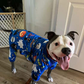 Roscoe