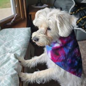 Rosie