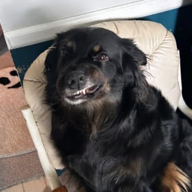 Xena