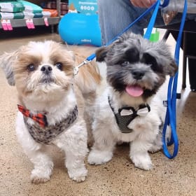 Baxter and Ollie