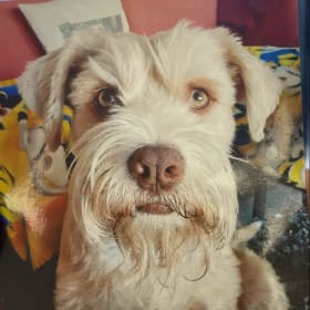 Baxter