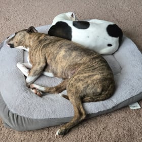 Tugger and Jude