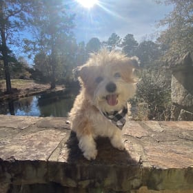 milo